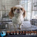 동물보호법 개정을 지지하는 시민,네티즌 대토론회 이미지