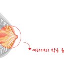 네이처센스