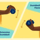 Four Day Gym 이미지