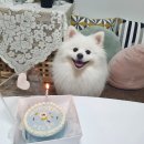 도요케이크 이미지