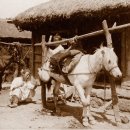 - Shoeing a Horse at the Blacksmith's Home, SEOUL - 이미지