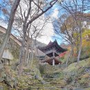 오서산사슴목장 | [山] 2021, 烏棲山 III … 5. 오서산