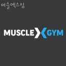 머슬엑스짐 이미지