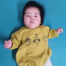 네오리안인터렉티브 | 유아 아기 베개 태열까지 생각한 오리밤 두상 베개 선택 이유 시기 (세탁)