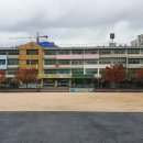 서울양천초등학교 네이버블로그