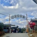 장생포고래로L 이미지