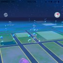 락포켓클럽 이미지