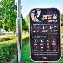 자전거교육장(천변) 이미지