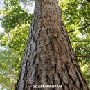 커피마마 안면도점 이미지