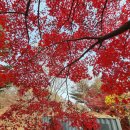 불암산로59번길 이미지