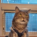 일진사약국 이미지