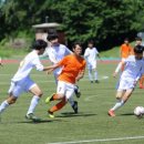 인제천연잔디구장 이미지