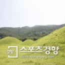 그곳에가면주남 이미지