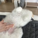 비에이치씨대연못골점