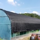 수선농장 이미지