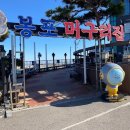 봉포안녕