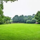 골프기초반 이미지