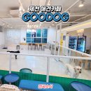 GOODOG 이미지