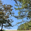 마지기로 | 평창 가볼만한곳 산너미목장 뷰맛집 육십마지기 트레킹