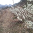 운대농장 이미지