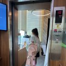 노블레스골프존 이미지