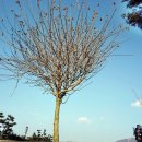 서부직업전문학교