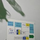 건평리 다목적회관 앞 | 6월에만 볼 수 있는 제주 청수리 반딧불이 축제 관람후기