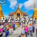 블루망고투어 이미지