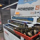 황금조개 튼튼장어 티스토리