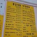 봉글살롱 이미지