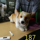 논현지구대 이미지