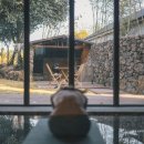 체크 인 제주 이미지