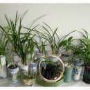 행복을 주는 집 이미지