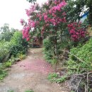 깊은산속민박 이미지