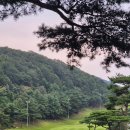 원주센추리스크린골프 | 내 생애 최악의 경험이 된 골프장 라운딩 원주 센추리21 CC 후기