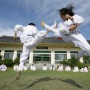 택견 | 택견과 책거리, 유연한 움직임의 기법 – 생활체육의 발명