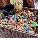 검은노루