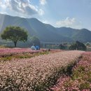 도담정원 이미지