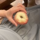 HOTEL CASA | 스페인 7월 여행 | 바르셀로나 숙소 Casa Llimona Hotel Boutique 솔직한 후기