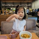 정선 아이랑 여행, 파크로쉬 조식 및 웰니스 후기(운영시간, 메뉴, 가격, 예약 방법 등)