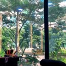 수내역근처 분당미용실 리제끄뷰티에서 1회탈색 애쉬그레이 염색했어요. 쿨톤염색 추천 숏컷염색후기