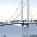 강진5호 이미지