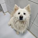 GS25 모종라이프 이미지