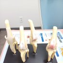 우리 동물병원 이미지