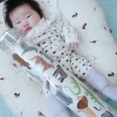 엘림카시트 이미지