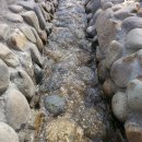 용문산관광지 야영장 이미지