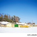 증산-010 이미지