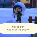 쇠똥구리상점