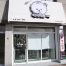 베이비숑 그루밍 이미지