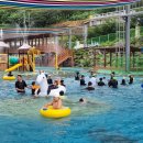 성지송학중학교 이미지